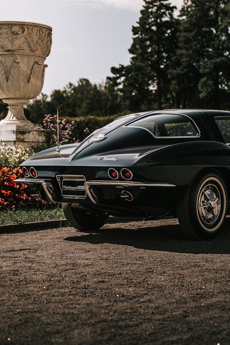 Rear Of A Black Chevrolet Corvette On A Driveway