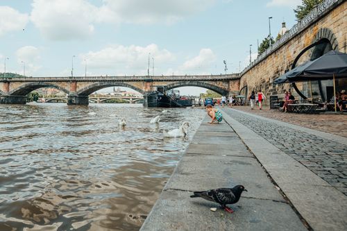 Free Explore the picturesque Vltava riverfront with the iconic Palacky Bridge in Prague, vibrant with urban life. Stock Photo