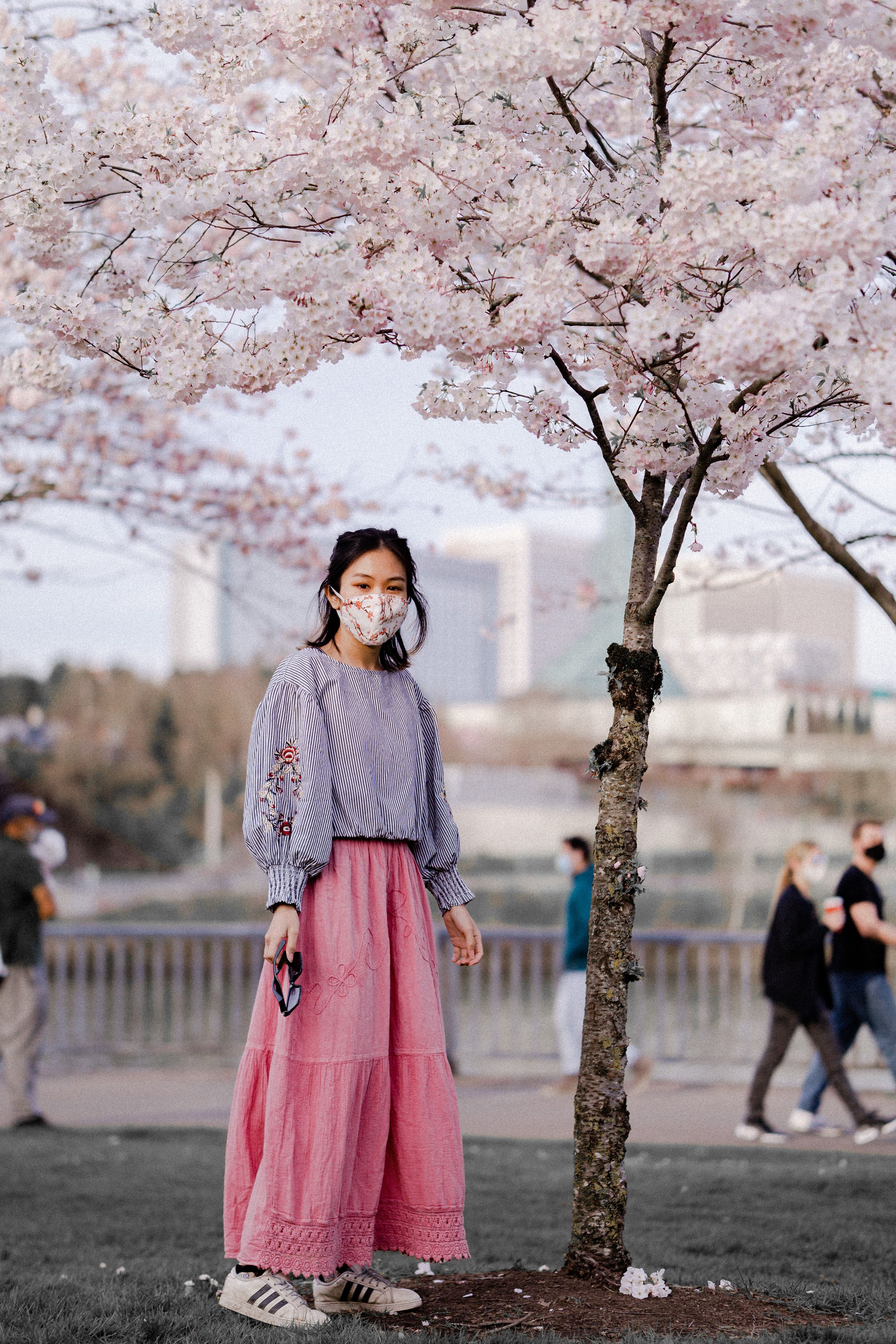 Photo of a Girl Standing Near a Tree with Cherry Blossoms · Free Stock ...