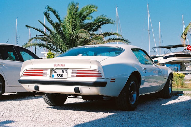 Rear End Of Pontiac Firebird In A Parking Lot