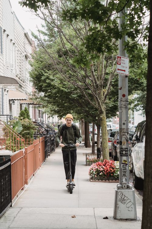 Free Asian man on electric scooter riding along a tree-lined urban sidewalk. Stock Photo