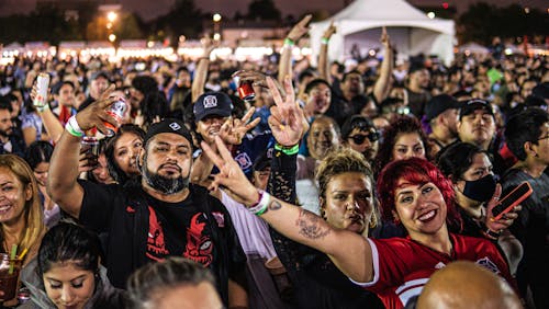 Crowd at Concert