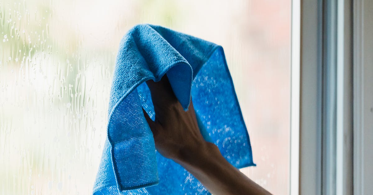 Person Holding Blue Towel Near Window