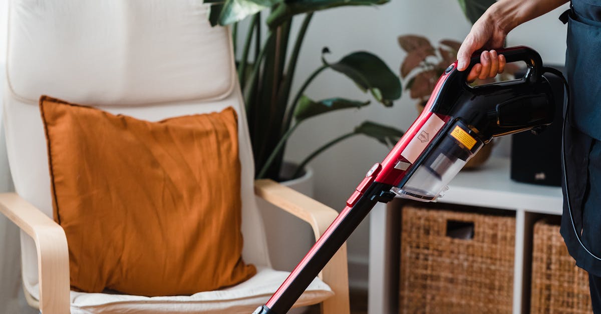 Person in Black T-shirt and Black Pants Holding Black and Red Vacuum Cleaner