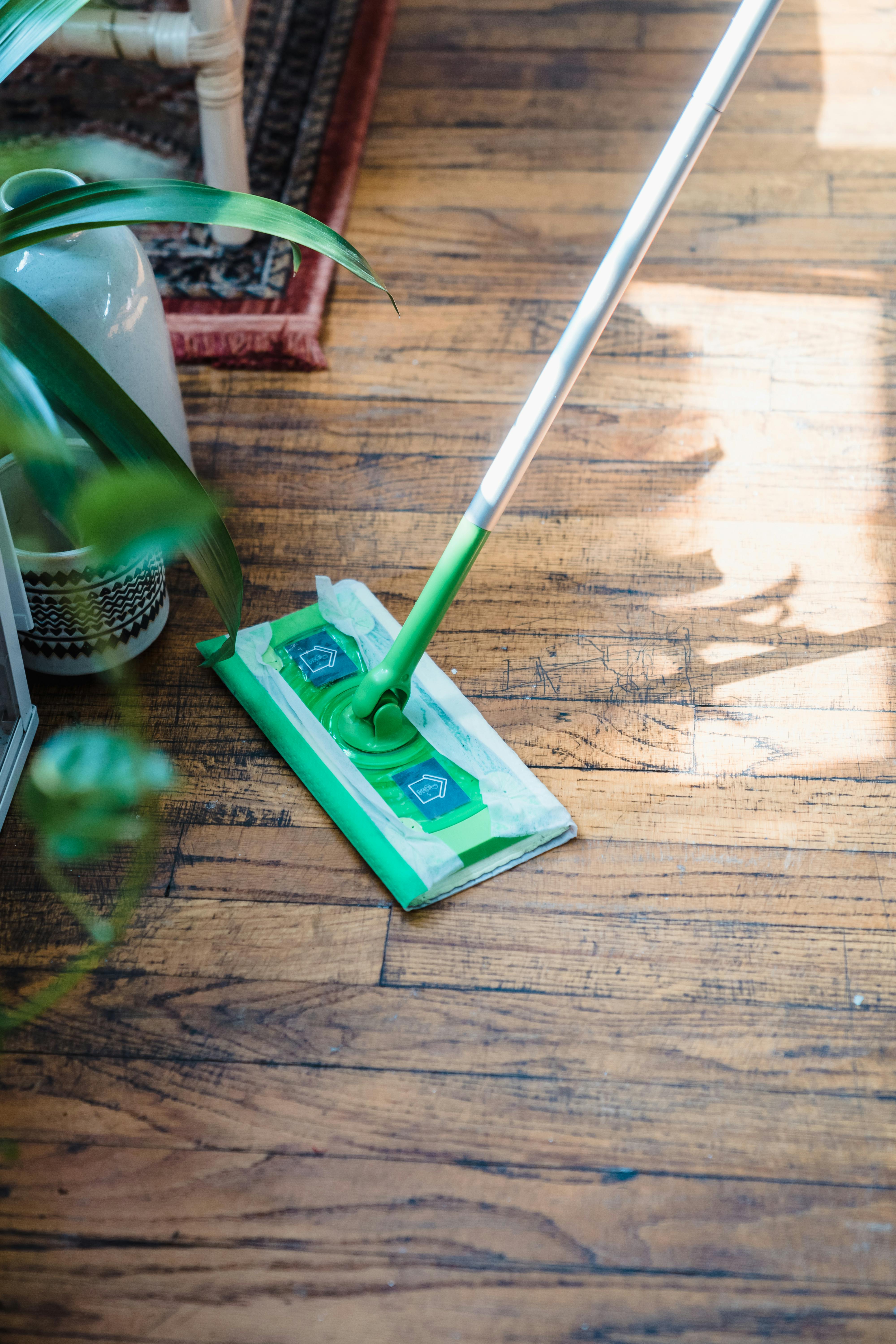 Free A high angle shot of a mop cleaning a wooden floor with natural light and indoor plants. Stock Photo