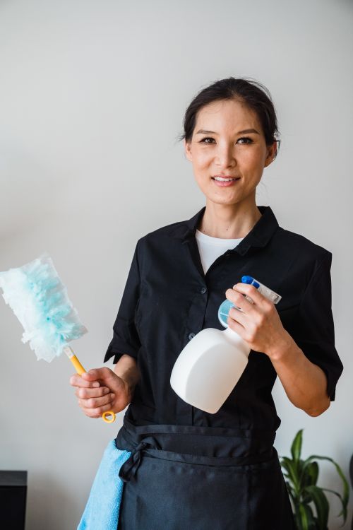 professional cleaning service house cleaner working
