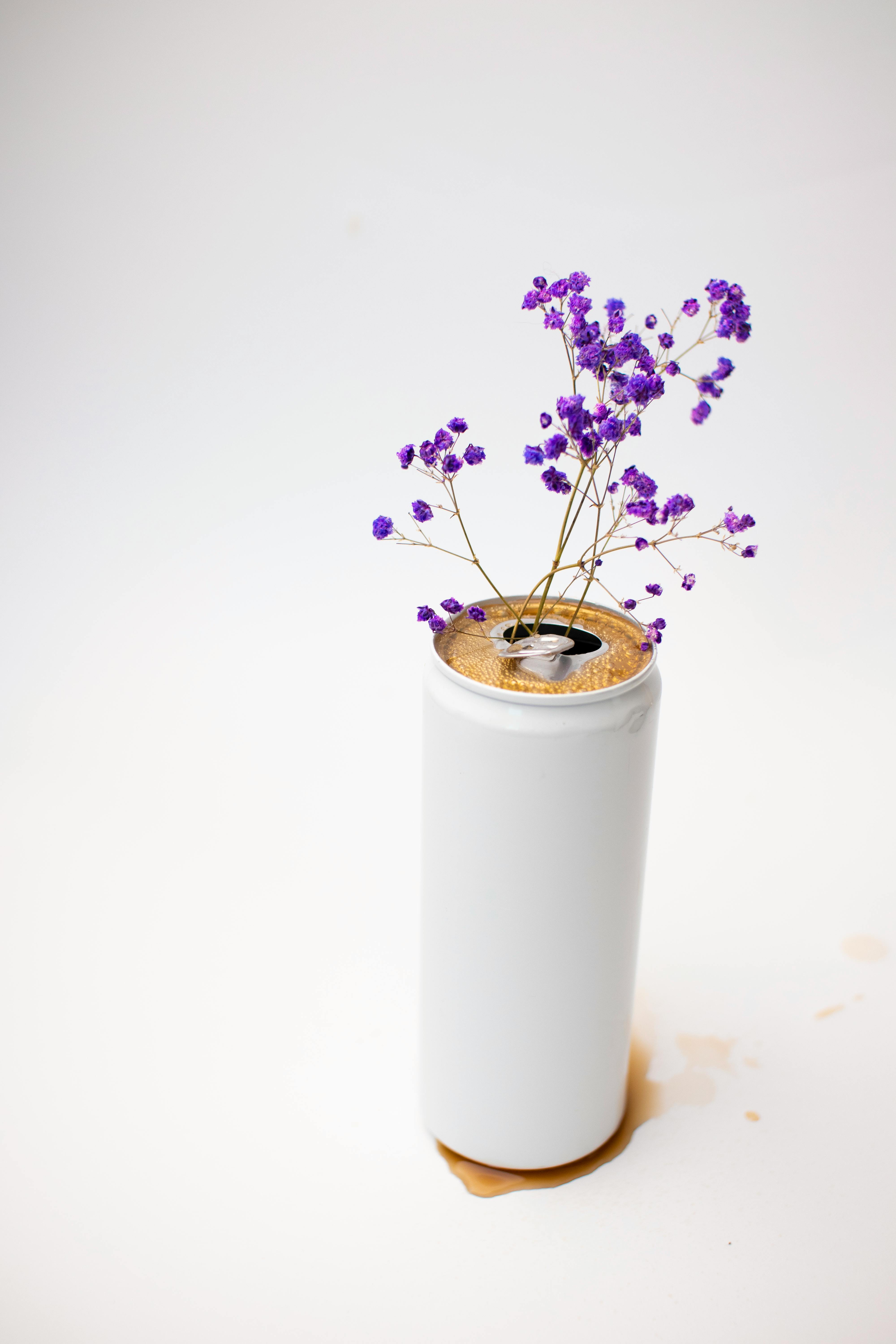 purple flowers on tin can