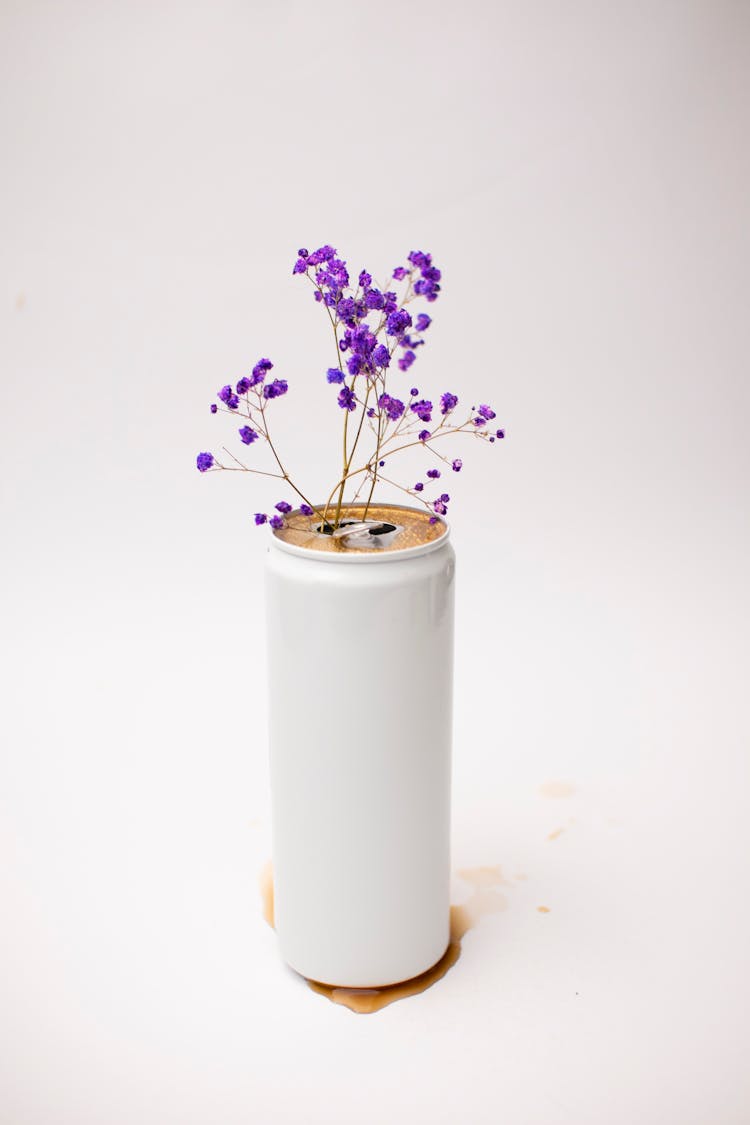 Purple Flowers On A White Soda Can