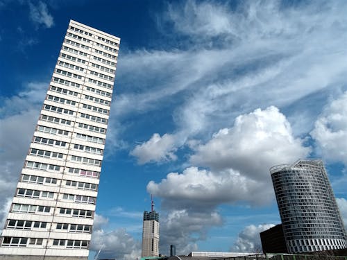 흰색 고층 건물 사진