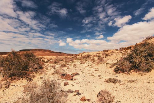 免費 多雲的天空下的沙漠領域 圖庫相片