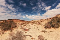 Desert Field Under Cloudy Sky