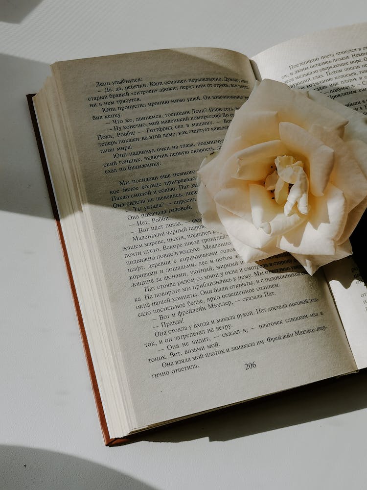 White Rose On Old Paper Book