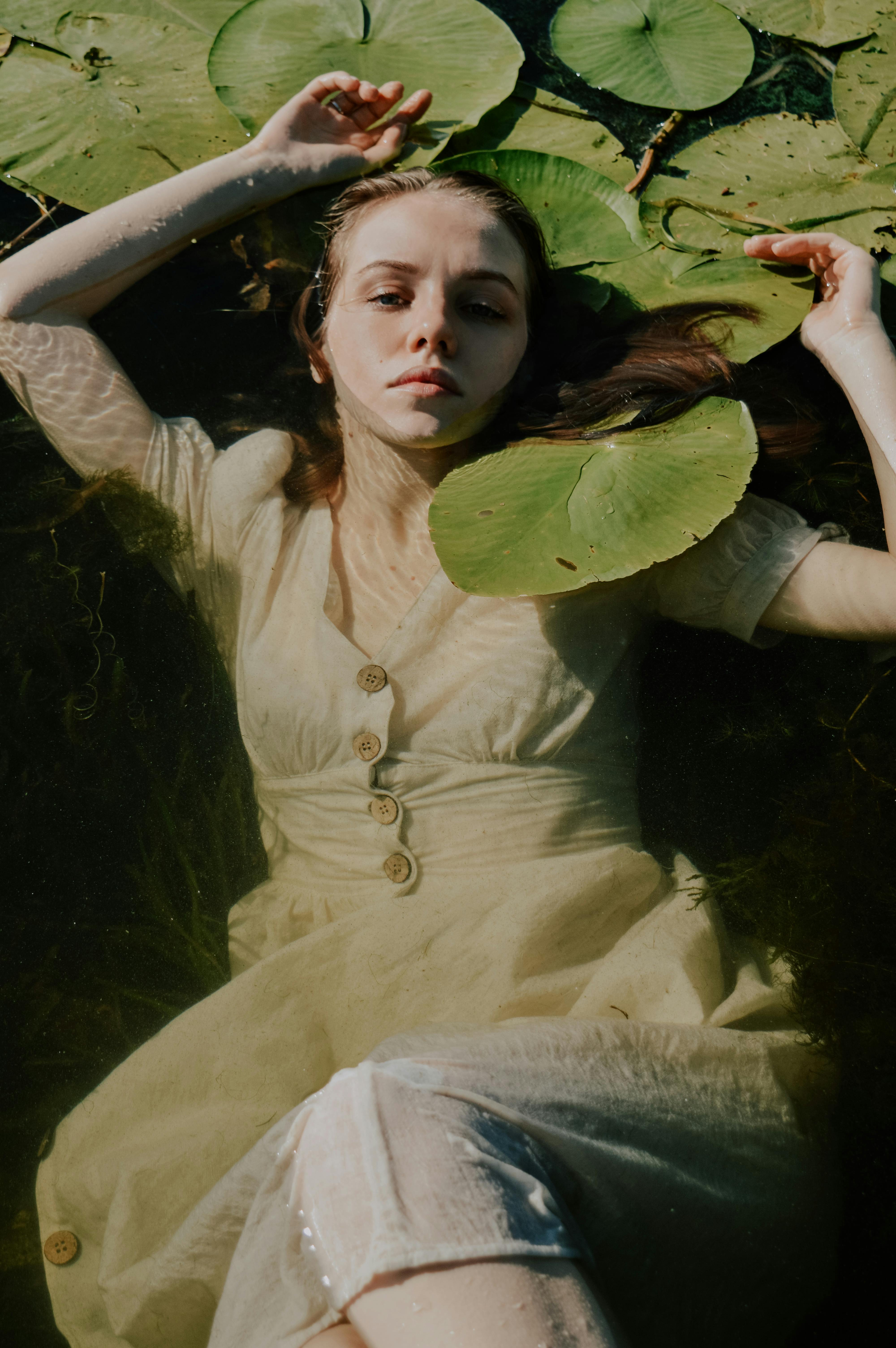 Kostenlos Kostenloses Stock Foto zu ätherisch, botanisch, draußen Stock-Foto