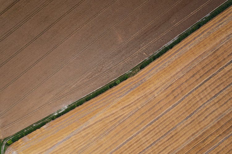 Aerial View Of Road Separating Fields