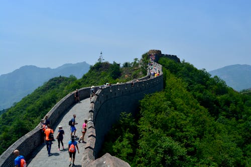 Free stock photo of china, great wall, great wall of china