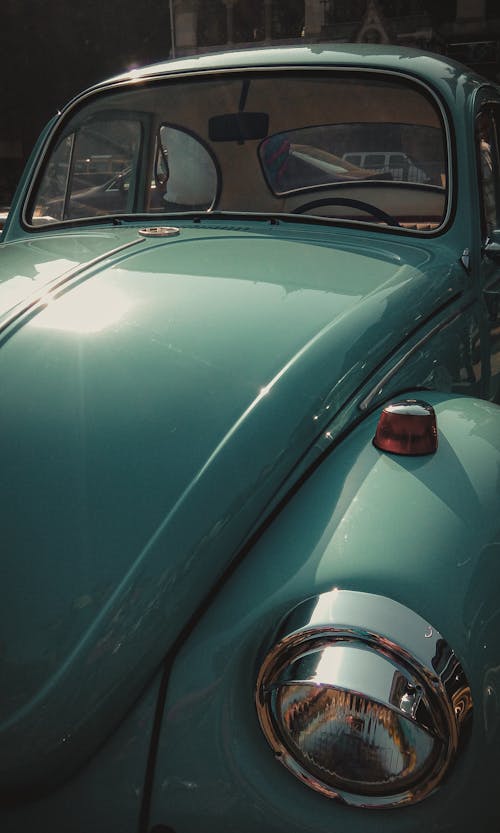 Free stock photo of bonnet, car, car dealership
