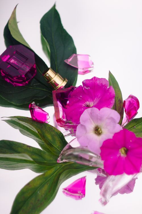 Free Close-up of a perfume bottle adorned with vibrant pink flowers and green leaves. Stock Photo