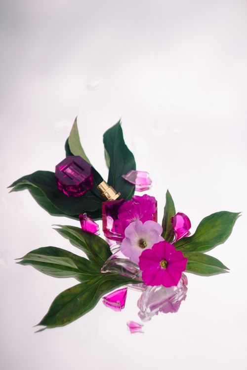 Free Aesthetic flatlay of perfume with vibrant flowers and leaves on a white background for beauty themes. Stock Photo