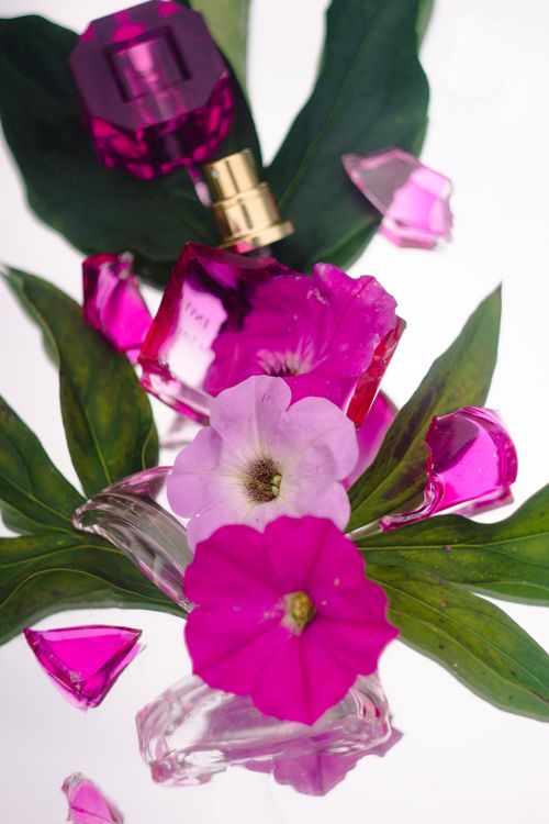 Free Close-up of beautifully arranged pink flowers and perfume bottle with green leaves and glass fragments. Stock Photo