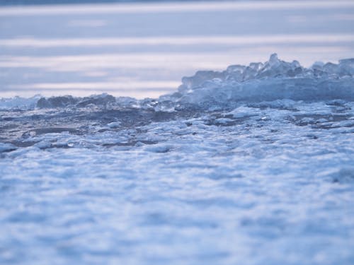 Бесплатное стоковое фото с вода, лед, море