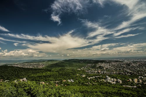 Green Trees over the White Clouds and Blue Sky