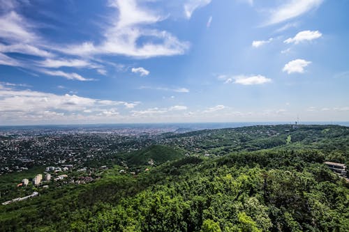 Village Entouré D'arbres Verts Sous Un Ciel Bleu Nuageux