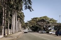 A serene street in Suva, Fiji, lined with palm trees and cars under a clear blue sky.