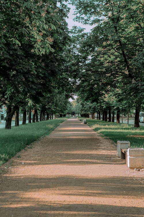 Free Path in a Park  Stock Photo
