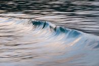 Water Wave on Body of Water