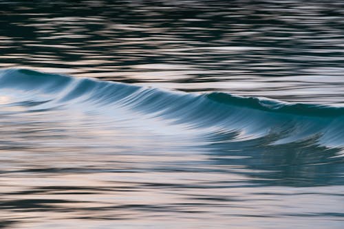 Photo of a Wave in a Body of Water