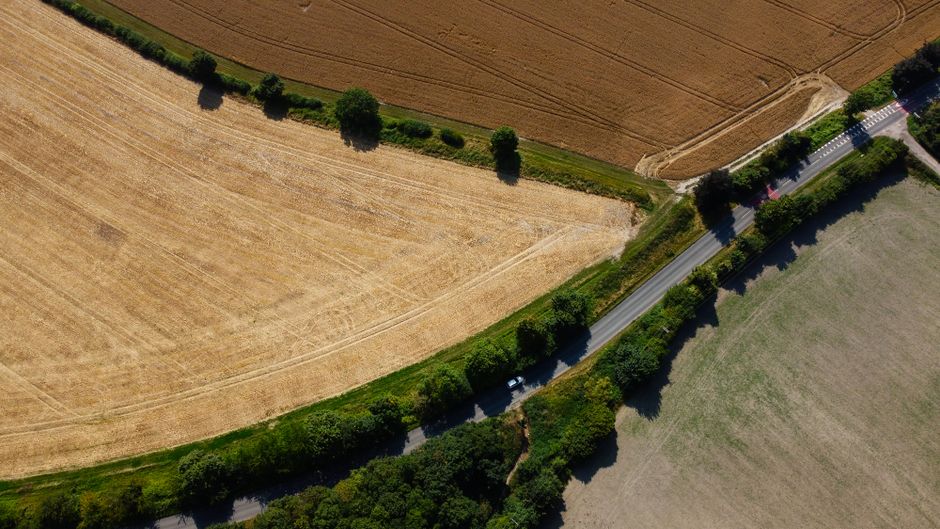 UK farmland