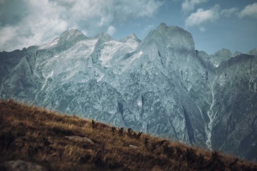 A stunning view of rugged mountain peaks and a lush valley under a blue sky.
