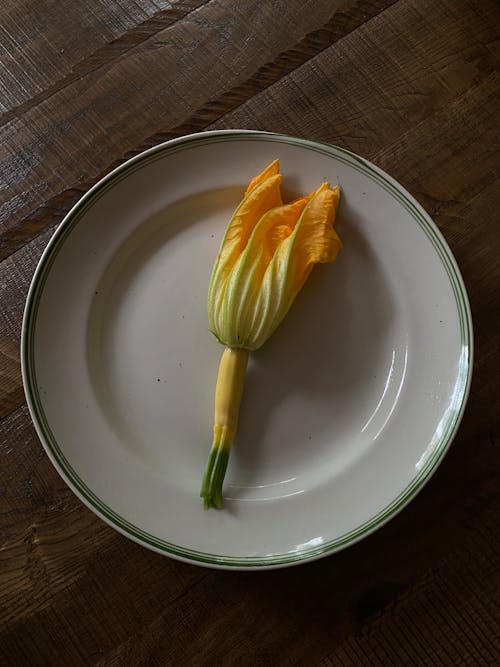 Squash Flower on a Ceramic Plate
