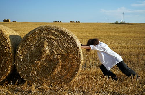 Free A Person Pushing a Bale of Hay Stock Photo