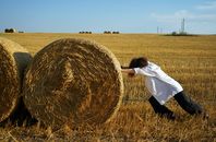 A Person Pushing a Bale of Hay