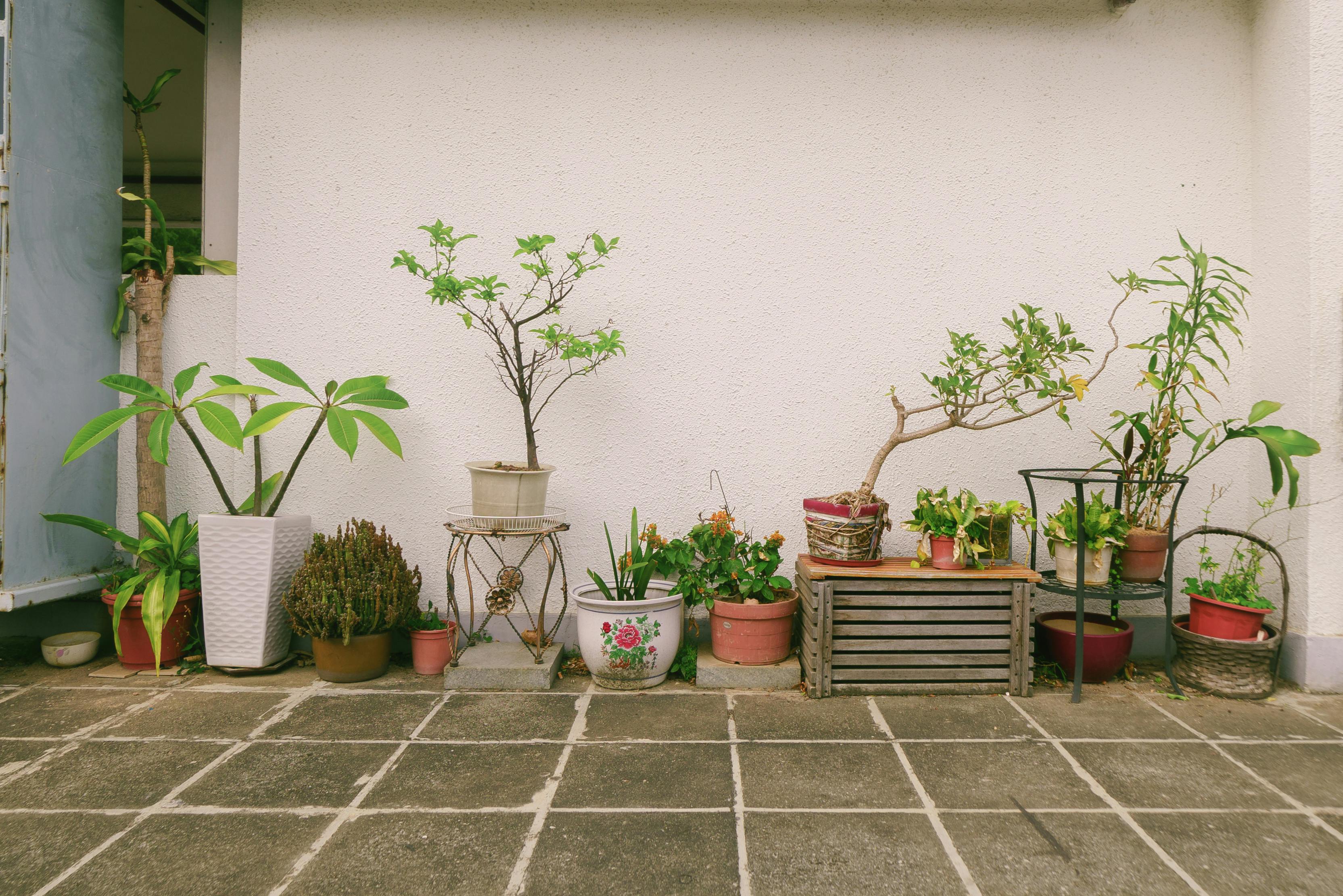 A Landscape Designer’s Favorite Gardening Tools — Photo by Jimmy Chan on Pexels