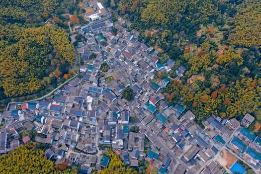Aerial photograph of a residential neighborhood surrounded by lush greenery in Shaoxing, China.