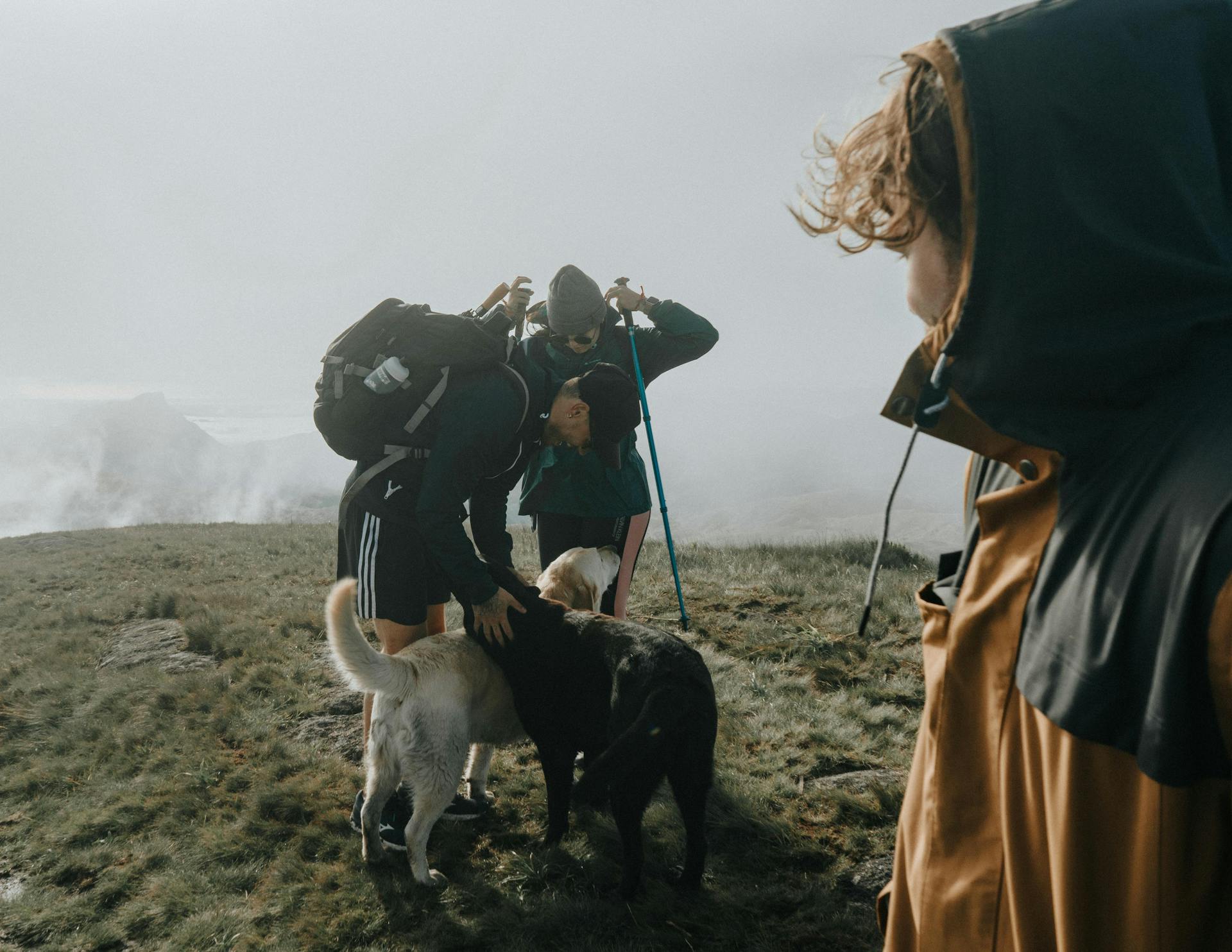 Man in Black Long Sleeve Shirt Holding Black and White Dog