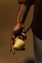 Person Holding Yellow Apple Fruit