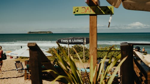 Free Surfboard Sign on Shore Stock Photo