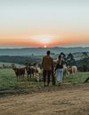A Couple Looking at the Calves Behind a Wire Fence