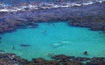 鸟瞰图中，人们在檀香山礁石泻湖的原始绿松石水中浮潜