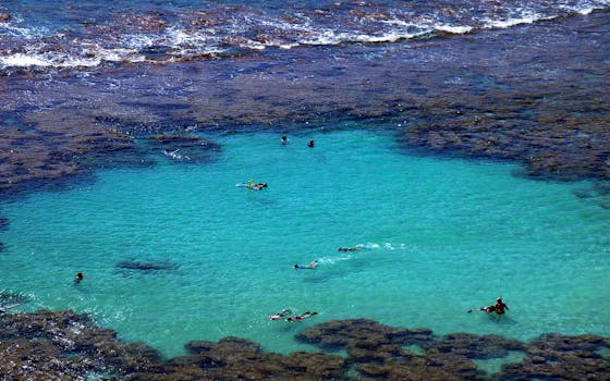 鸟瞰图中，人们在檀香山礁石泻湖的原始绿松石水中浮潜