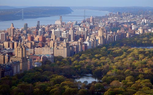 Free Central Park, New York Stock Photo