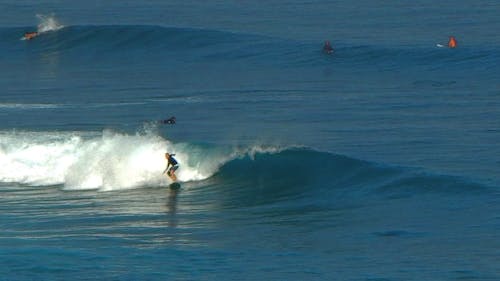 Imagine de stoc gratuită din surfer