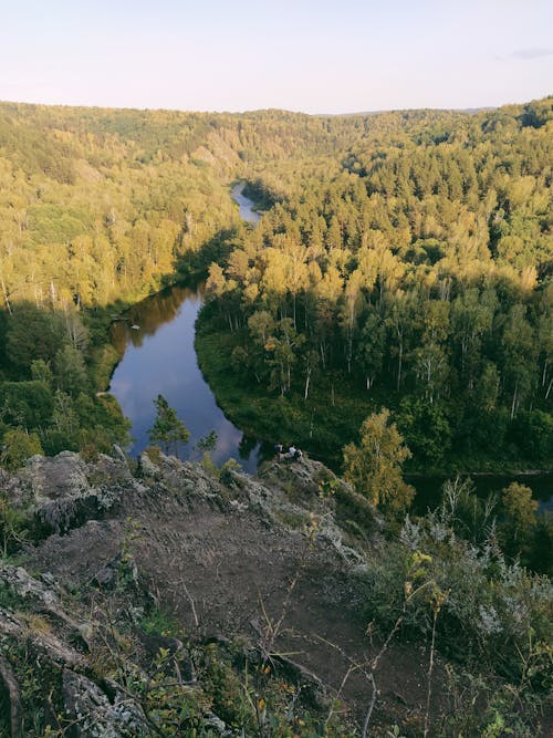 A Narrow River Between Trees