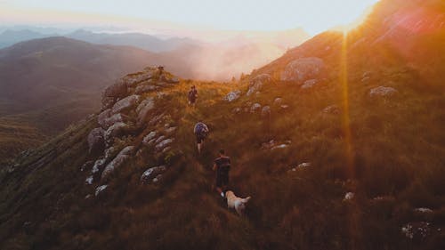 A Group Hiking a Mountain with a Dog