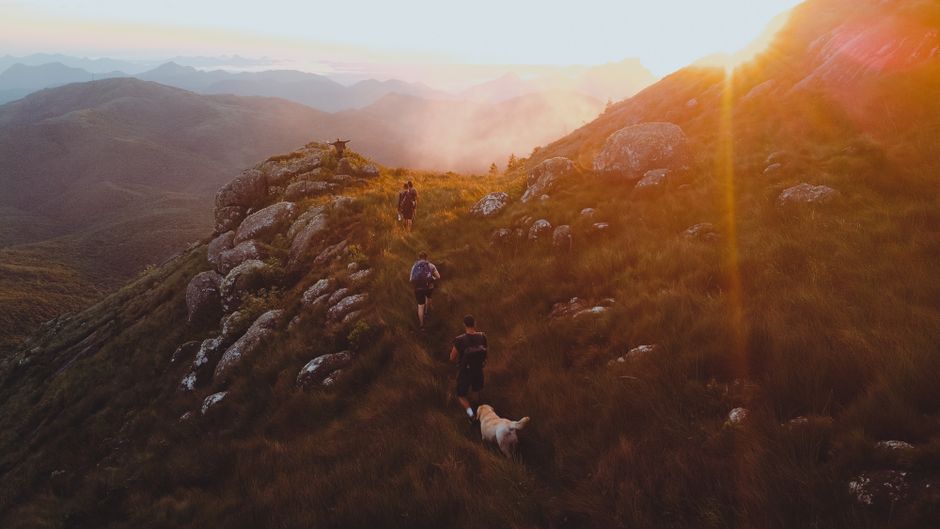Spectacular Salvador African Heritage Private City Tour Including Afro Museum Review: An Unforgettable Journey Through Brazil's Soul Review 2026 - Adventurers hiking at sunrise with a dog on Brazilian mountain terrain. Tranquil and scenic.