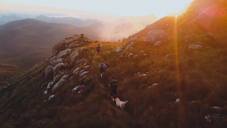 A Group Hiking A Mountain With A Dog