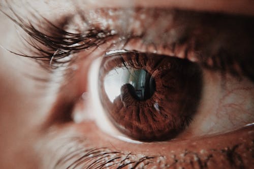 Free Brown Human Eye Stock Photo